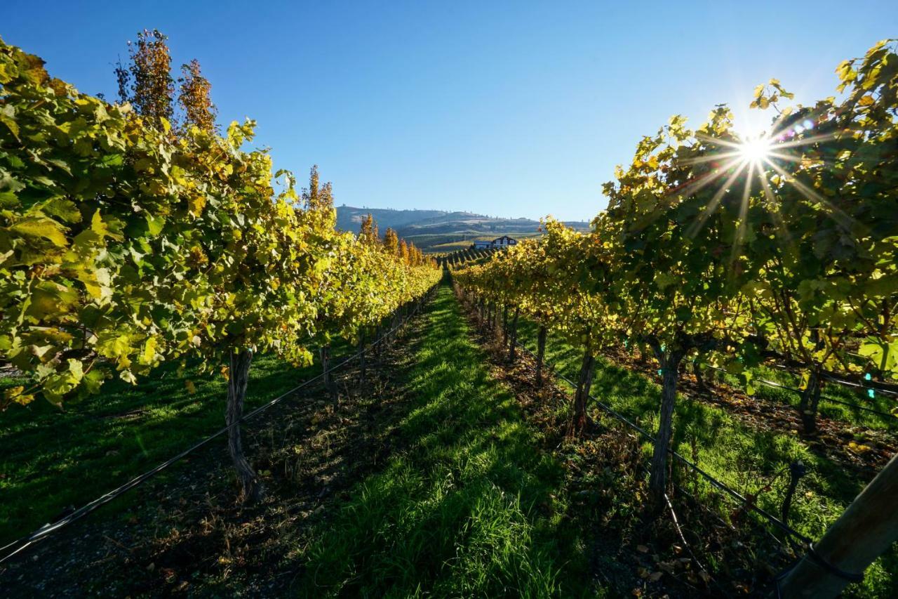 The Vineyards Lodge Chelan Exterior photo